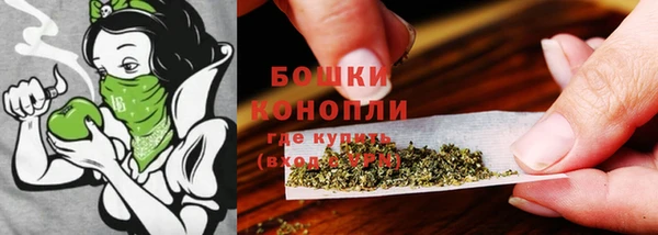 ГАЛЛЮЦИНОГЕННЫЕ ГРИБЫ Алзамай