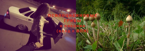круглые Алексеевка