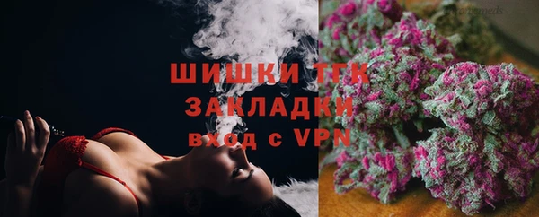 ГАЛЛЮЦИНОГЕННЫЕ ГРИБЫ Алзамай